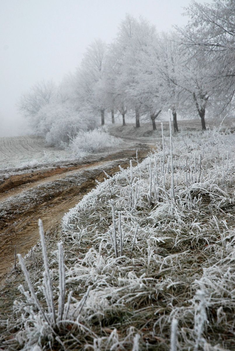 Zima v Silůvkách Silůvky v zimě